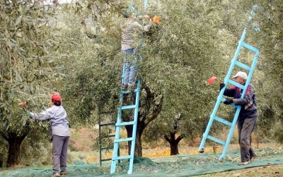 Ε.Α.Σ.: Ξανά μέσα σε μια βδομάδα στις Τράπεζες οι ντόπιοι Αγρότες