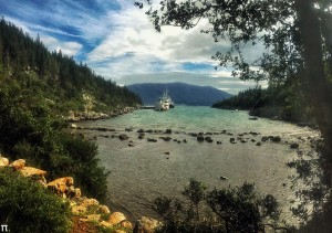 Η παραλία Ευρετή... και οι μαργαρίτες