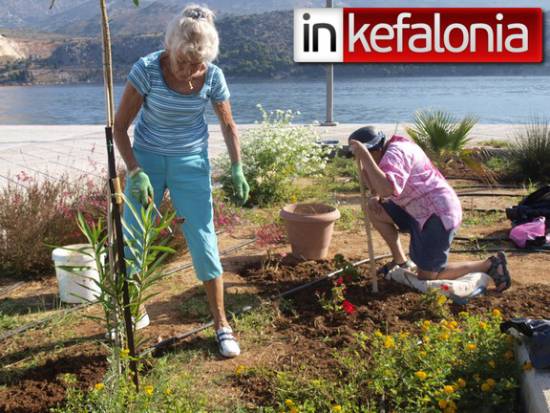 Donation of plants for the crusie ship port - Φυτεύει η Βρετανική Κοινότητα την Κυριακή στο Μπαστούνι!