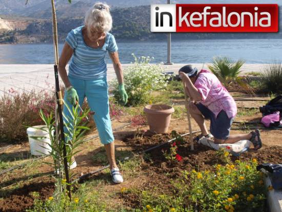 Donation of plants for the crusie ship port - Φυτεύει η Βρετανική Κοινότητα την Κυριακή στο Μπαστούνι!  