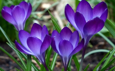 Συλλυπητήριο μήνυμα Συλλόγου Δημοτικών Υπαλλήλων για την απώλεια του Αντώνη Δίλαλου