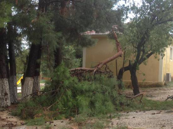 Πτώση δέντρων στα Λουρδάτα