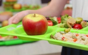Οργάνωση ΠΑΣΟΚ-ΚΙΝΑΛ Αργοστολίου: Σχετικά με τα σχολικά γεύματα που δίνονται στα σχολεία της Κεφαλονιάς