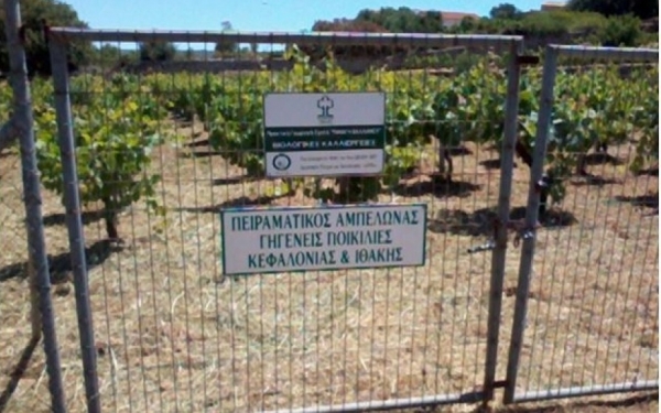 Σπυρογιάννης Φωκάς:Πρακτική Γεωργική Σχολή Παναγή Βαλλιάνου - Προς όσους τιμούν την μνήμη του