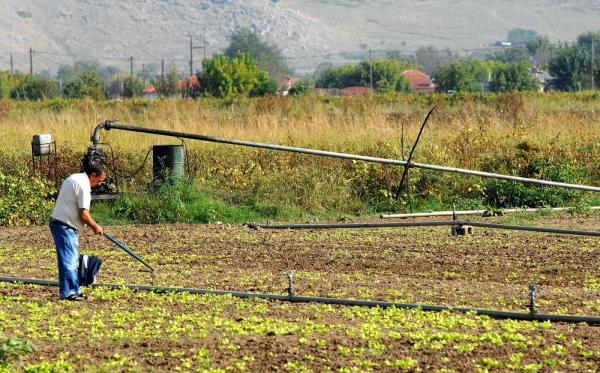 Παράταση Προθεσμίας Πληρωμής Ασφαλιστικών Εισφορών Αγροτών