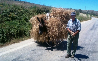 Τση Κεφαλονιάς μας… ο Ιούνιος