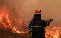 Ανακοίνωση από την Πυροσβεστική για την σύλληψη ατόμου για εμπρησμούς από πρόθεση στην Κεφαλονιά