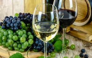 Σεμινάριο Βραχείας Εκπαίδευσης στη Βιολογική Αμπελουργία & Οινολογία