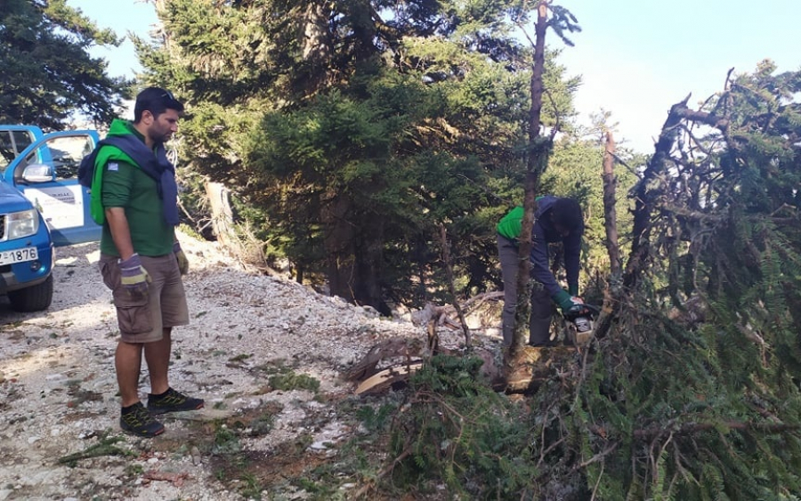 Φορέας Διαχείρισης Εθνικού Δρυμού Αίνου: Καθαρισμός δασικού οδικού δικτύου από θέσεις Χιονίστρα ως Φτέρη στον Αίνο