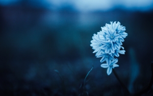 Ο Ν.Ο. Αργοστολίου ευχαριστεί...