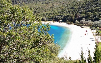 Υπέροχη Αντίσαμος (εικόνες)