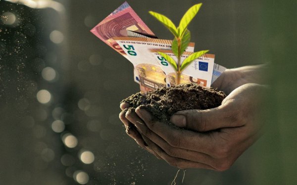 &quot;Μαστίγιο και όχι καρότο&quot;