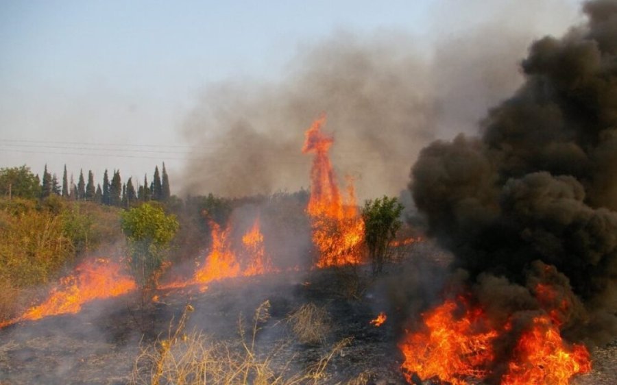 Φωτιά στην Κέρκυρα: Ανεξέλεγκτο το πύρινο μέτωπο – Μήνυμα 112 για εκκένωση του οικισμού Μερολιά