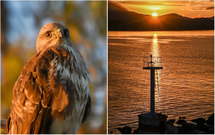 Οι δικές σας Κεφαλονίτικες φωτογραφίες στο Instagram - #inkefaloniagr - (16/2)