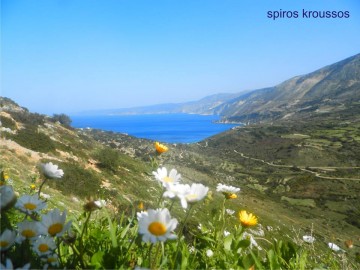 Φωτογραφια : Σπύρος Κρούσσος