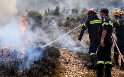 Φωτιά στην περιοχή Πλατιές Στράτες στην Παλική