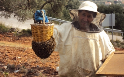 Γενική Συνέλευση του Μελισσοκομικού Συνεταιρισμού Κεφαλληνίας &amp; Ιθάκης