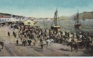 "Η παροικία των Μαλτέζων στην Κεφαλονιά" - Απόψε Πολιτιστική εκδήλωση στην Πλατεία Καμπάνας με την συμμετοχή της Παιδικής Μαντολινάτας Αργοστολίου