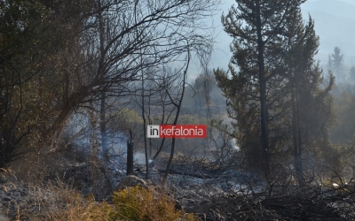 Σωτήρης Κουρής: Είναι ώρα επαγρύπνησης και συμπαράταξης