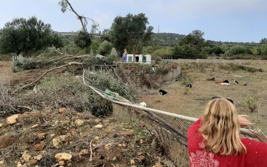 Έκκληση για βοήθεια από το καταφύγιο αδέσποτων ζώων «Ντόρις» (Video)