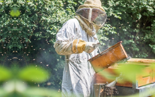 Γεωργική Σχολή: Παράταση αιτήσεων κατάρτισης Μελισσοκόμων