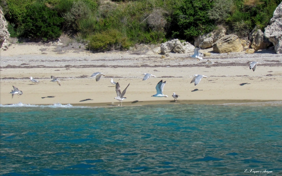 Όμορφες εικόνες από την παραλία της Λεύκας