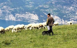 Ερώτηση Βελόπουλου για τα αιτήματα της Επιτροπής Αγώνα Αγροτοκτηνοτρόφων Κεφαλονιάς - Απάντηση Υπ. Περιβάλλοντος Κώστα Σκρέκα