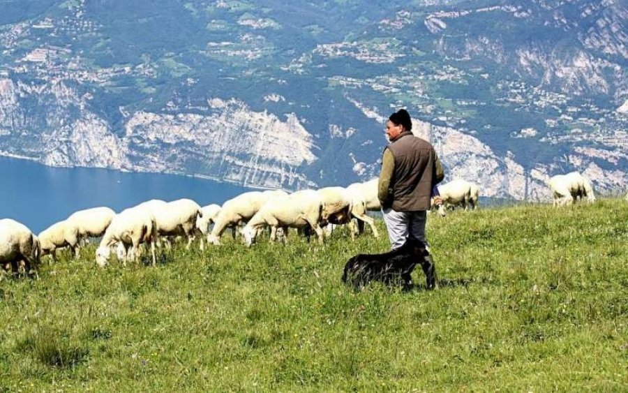 Ερώτηση Βελόπουλου για τα αιτήματα της Επιτροπής Αγώνα Αγροτοκτηνοτρόφων Κεφαλονιάς - Απάντηση Υπ. Περιβάλλοντος Κώστα Σκρέκα