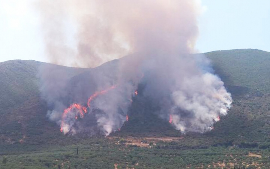 Ζάκυνθος: 1.245.000€ για άμεσες επεμβάσεις στις πυρόπληκτες περιοχές του νησιού