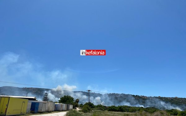Περιορίστηκε μετά τις 15.30 η πυρκαγιά στην Κρανιά