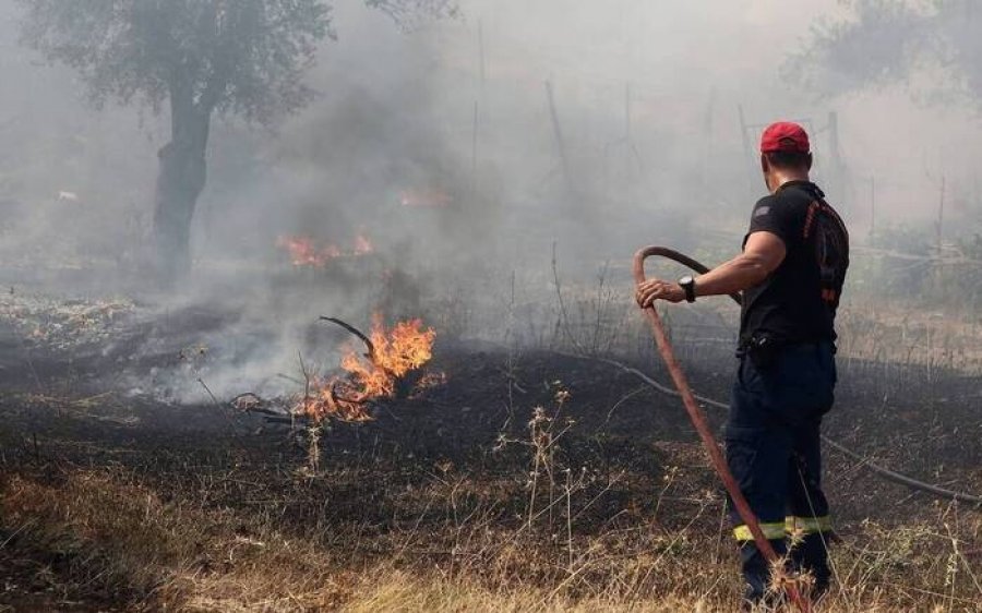 Φωτιά στα Μουσάτα – Την «έπιασαν» πριν επεκταθεί!