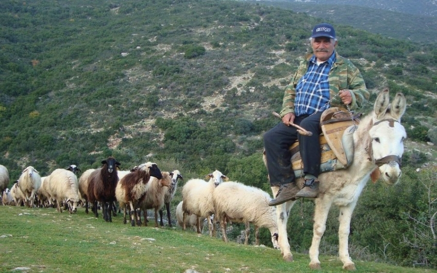 Ε.Α.Σ. : Μεγάλη βδομάδα πλήρωσε ο ΕΛΓΑ ντόπιους ΑγροΚτηνοτρόφους