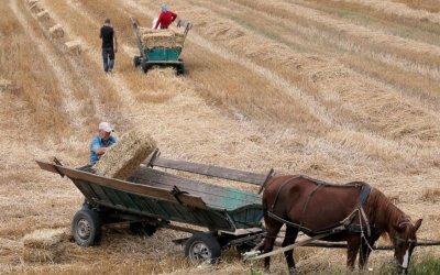 Πόλεμος: Θα πούμε το ψωμί ψωμάκι - Πώς η κρίση Ρωσίας – Ουκρανίας θα βουλιάξει την παγκόσμια αγορά τροφίμων