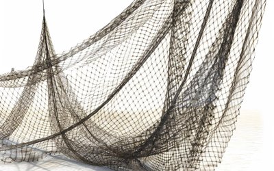 Δίχτυα σκίασης σε καλλιέργειες, οικοδομές, parking και άλλους χώρους