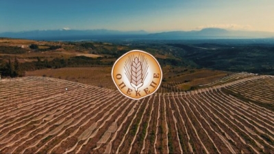 ΟΠΕΚΕΠΕ: Πότε θα πληρωθεί η βασική ενίσχυση 2019