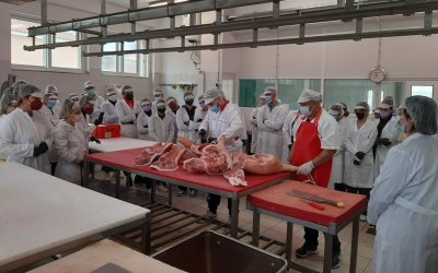 Ιόνιο Πανεπιστήμιο: Ευχαριστήρια επιστολή των φοιτητών του τμήματος «Επιστήμης και Τεχνολογίας Τροφίμων» για την επίσκεψη στις εγκαταστάσεις της Βιοτεχνίας Κρεάτων Αφοί Δεληκωστόπουλοι (εικόνες)