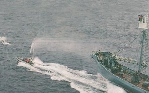 Τα μέλη της Γκρίνιπς πρωτοστάτησαν για την προστασία των φαλαινών στον Ειρηνικό Ωκεανό