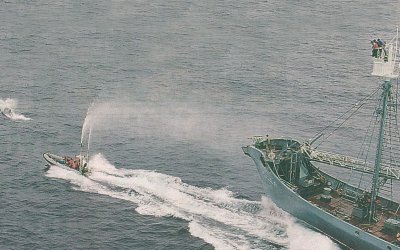 Γιώργος Μεσσάρης: Και Έλληνες και Μάορι