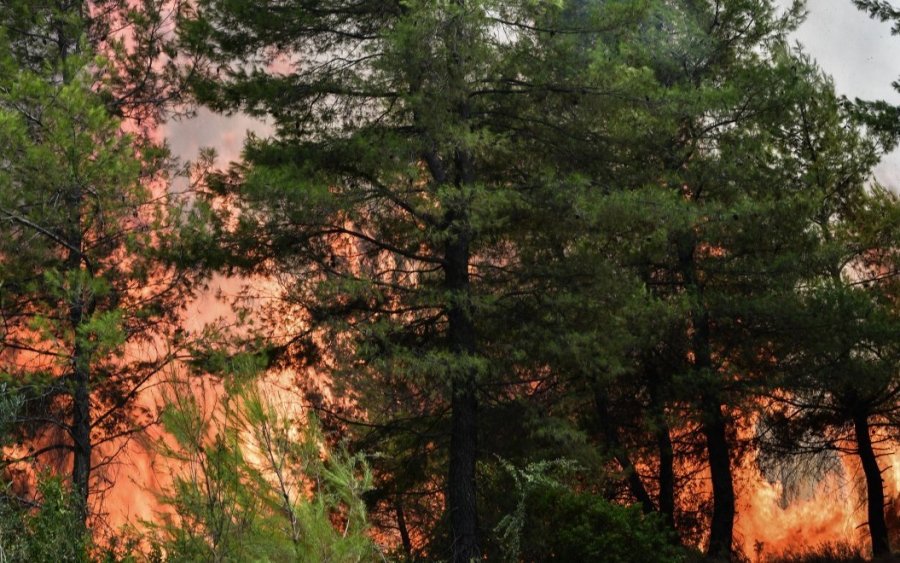 Φωτιές: Ο «χάρτης» των 46 συλλήψεων για εμπρησμό τον Αύγουστο σε όλη την Ελλάδα