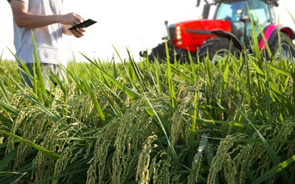 Ε.Α.Σ.: Και επίσημα παράταση φετινών Αιτήσεων Αγροτικών Επιδοτήσεων