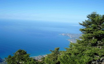 17ο Πανελλήνιο Δασολογικό Συνέδριο - "Η Συμβολή της Σύγχρονης Δασοπονίας και των Προστατευόμενων Περιοχών στη Βιώσιμη Ανάπτυξη"