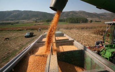Ε.Α.Σ. : Τιμολόγια για επιστροφή ΦΠΑ παραλαμβάνει ο Ε.Α.Σ.