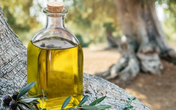 Οι μαθητές των Ιονίων Νήσων γνωρίζουν το ελαιόλαδο μέσα από βιωματικές δραστηριότητες