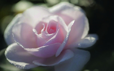 Ευχαριστίες του Δημοτικού Γηροκομείου Αργοστολίου