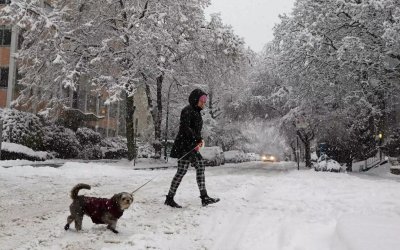 Ο Καναδάς στο έλεος «ιστορικής χιονοθύελλας» – Πόλεις σε κατάσταση έκτακτης ανάγκης