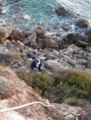 Ντροπή για την "δολοφονία" σκύλου στις Άμμες