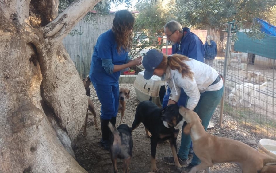 Πολλά Μπράβο! Τρεις κτηνίατροι του νησιού εμβολιασαν 210 σκυλιά στο καταφύγιο αδέσποτων ζώων «Ντόρις»