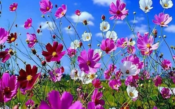 Ευχαριστήριο προς το Νοσοκομείο Κεφαλονιάς