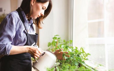 Φυτά: Καλλιεργούμε 4 που ωφελούν την ψυχική μας υγεία