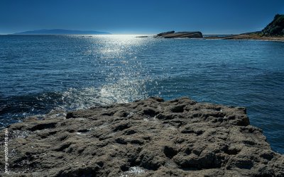 Αίτημα ένταξης της ΕΠΜ για το Θαλάσσιο Πάρκο Ιονίου στο Π.Σ. από τη Λαϊκή Συσπείρωση